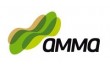 Amma