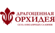 Драгоценная орхидея