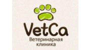 Ветка